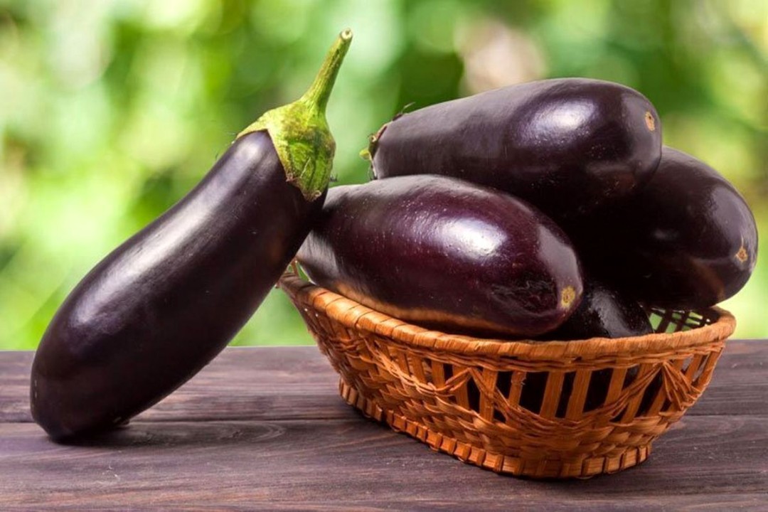 رکوردشکنی قیمت بادمجان رکوردشکنی قیمت بادمجان