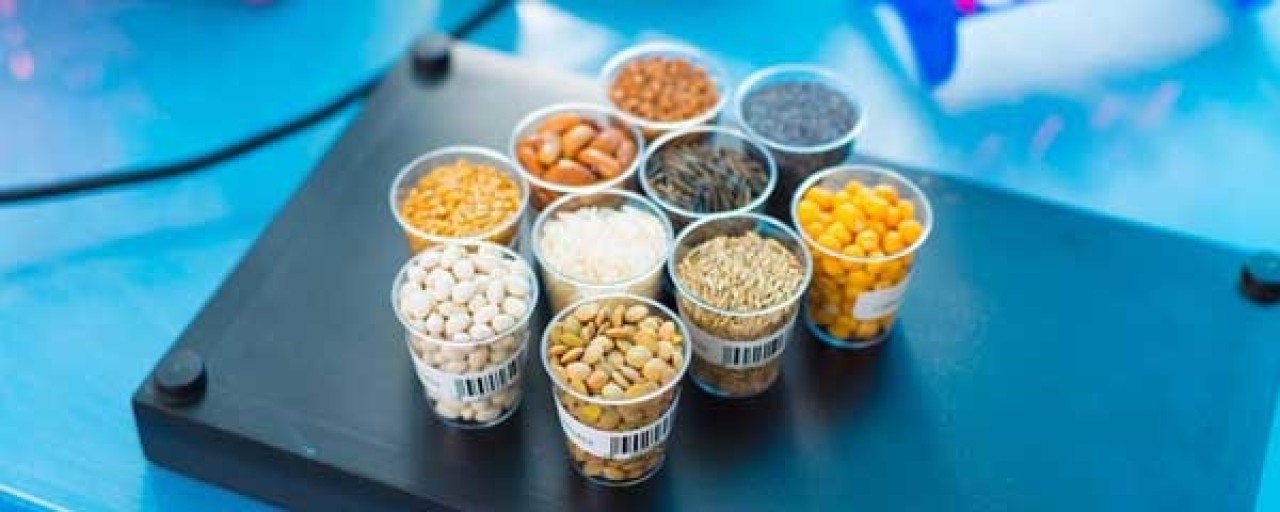 حمایت 35 هزار میلیارد ریالی بانک کشاورزی از تولید بذور مقاوم و پربازده حمایت 35 هزار میلیارد ریالی بانک کشاورزی از تولید بذور مقاوم و پربازده