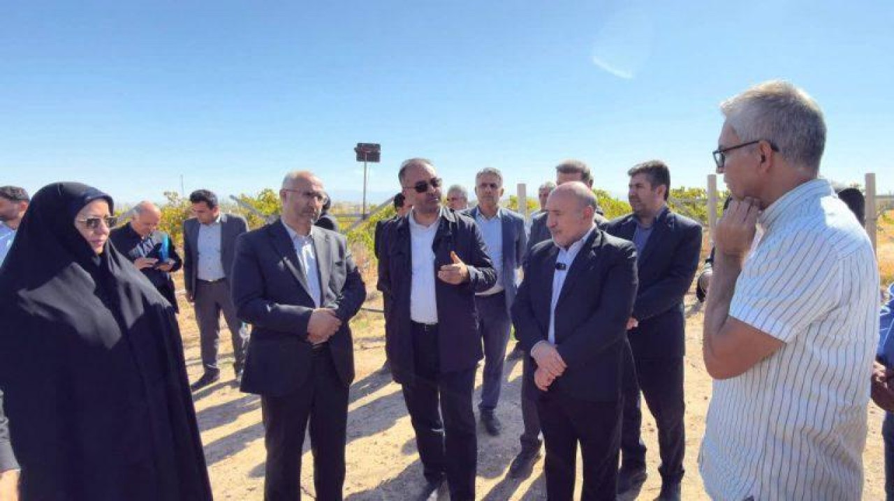 کشت موفق انگور در مزرعه ۴۰۰ هکتاری قِیقاج کشت موفق انگور در مزرعه ۴۰۰ هکتاری قِیقاج